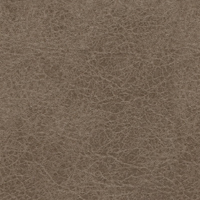Recliner In Solid Fossil Fabric