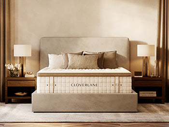 Cloverlane Hybrid Medium California King Mattress